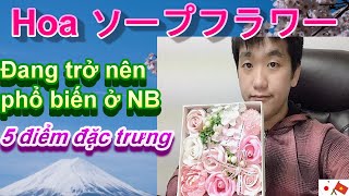 “5 điểm đặc trưng của hoa soap flowerソープフラワーĐang trở nên phổ biến ở Nhật Bản. KIBOO BLOG