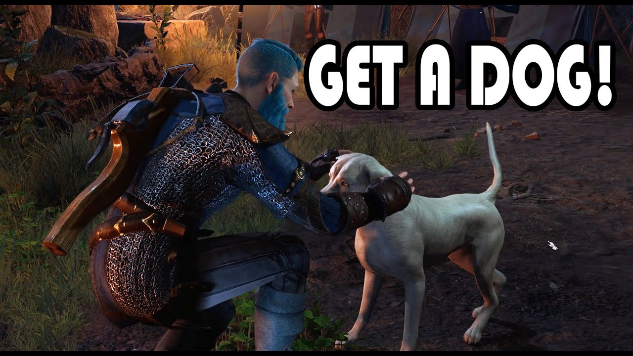 How to Get a Dog | Baldur's Gate 3 Guide - YouTube