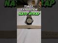 Timex Expedition Replace Leather Strap With A Nato Band Timex Expedition Replace Leather Strap With A Nato Band