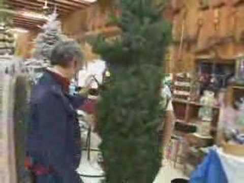 Christmas Tree Care - YouTube