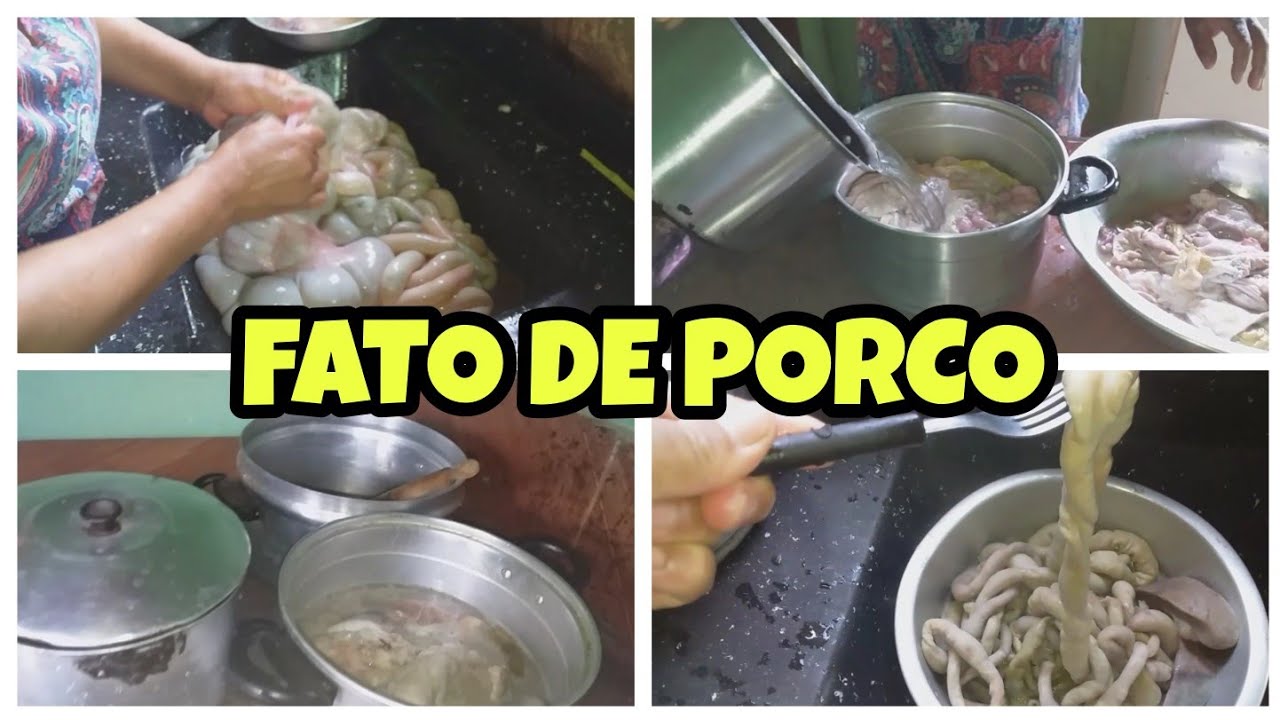 COMO LIMPAR UM FATO DE UM PORCO!