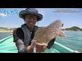 【釣り百景】#345 東京湾・内房エリアで満喫！レンタルボートで気軽に旬の魚を狙う