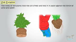 Soil Erosion & Soil Conservation | Effects of Soil Erosion | Formation of Soil | Science