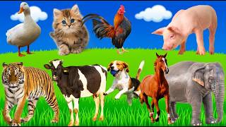 Cat, Cow, Elephant, Lion, Dog, &amp; Sheep Sounds for Kids | 50 Cute Animal Sounds 🐱🐮🐑 | #animalsounds