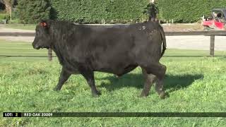 Lot 2   RED OAK 20009 new