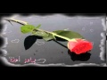 يا أجمل الأقدار يا عمرى
