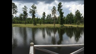 1449 Ranger Road , Warrenton, GA 30828 - MLS #439120