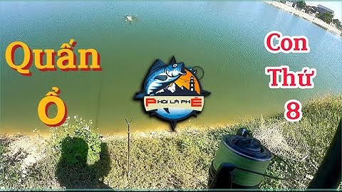 Câu lục l Quấn ổ trắm đen với thính phủi 1 căn vị cho mùa đông