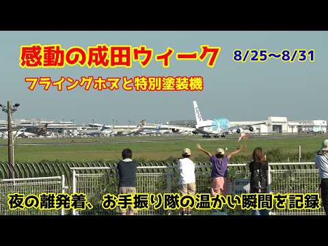 Love Flight Jack - YouTube