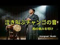 泣き叫ぶチャンゴの音