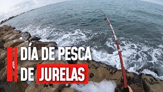 Pesca de jureles con SORPRESA!! Spinning 2024 #pesca #spinning #picadas #fishing #pescaria #pescador