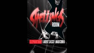 Shellings Riddim Mix (March 2013)