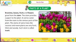 Class 3 Sem 2 EVS Chapter 2