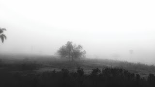 Double Daren - Sunday Morning (Legendado)