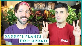 Daddys Plants Pop-Update | Billy & Pat