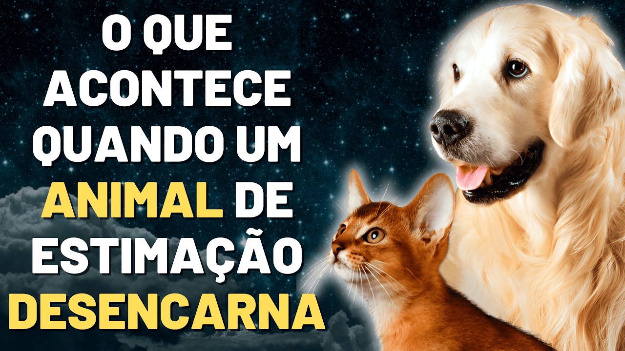 A DESENCARNAÇÃO DE UM ANIMAL DOMÉSTICO NÃO É COMO DIZEM