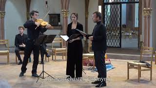 Leuven Chansonnier ○ Ou beau chastel (unicum) - YouTube