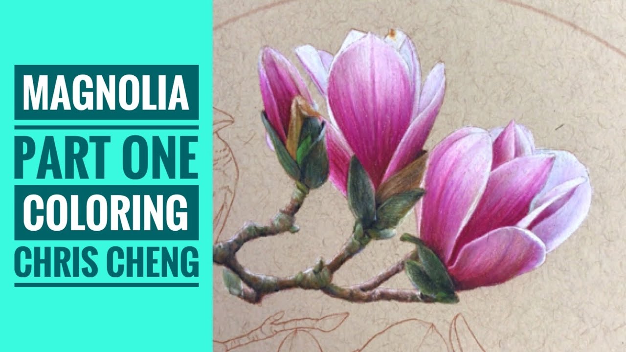 MAGNOLIA - Part 1: Flowers Coloring // Chris Cheng