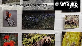 Art Exhibit in Memory of Grizzly 399