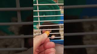 A Friendly Hello from Miss Janice and Griffin