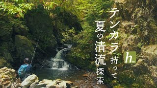 【釣り】夏の渓流探索【テンカラ】