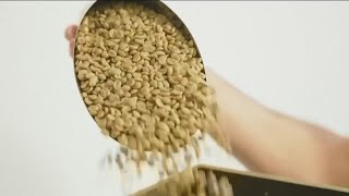 Trump removes 40% tariffs on Brazilian coffee, beef and agricultural products