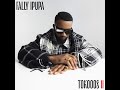 Fally Ipupa Obomanga Official Audio MP3 Tokooos2