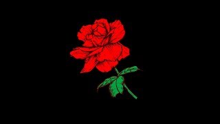 Freestyle Type Beat | Free Rap Type Beat 2019 - Red Rose