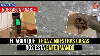 El agua de la ciudad de Puebla nos está enfermando ¿Realmente es potable?
