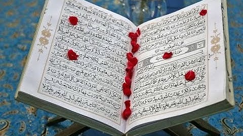 سورة الحج تلاوة خاشعة للقارئ رعد الكردي