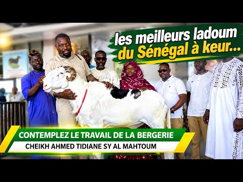 les. meilleurs ladoum du Sénégal à keur massar 