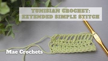 HOW TO: Tunisian Crochet Extended Simple Stitch