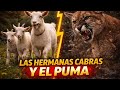 LAS HERMANAS CABRAS Y EL PUMA DEL PUENTE