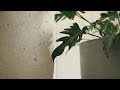 EN CONCRETO - A short film about handcrafted concrete design