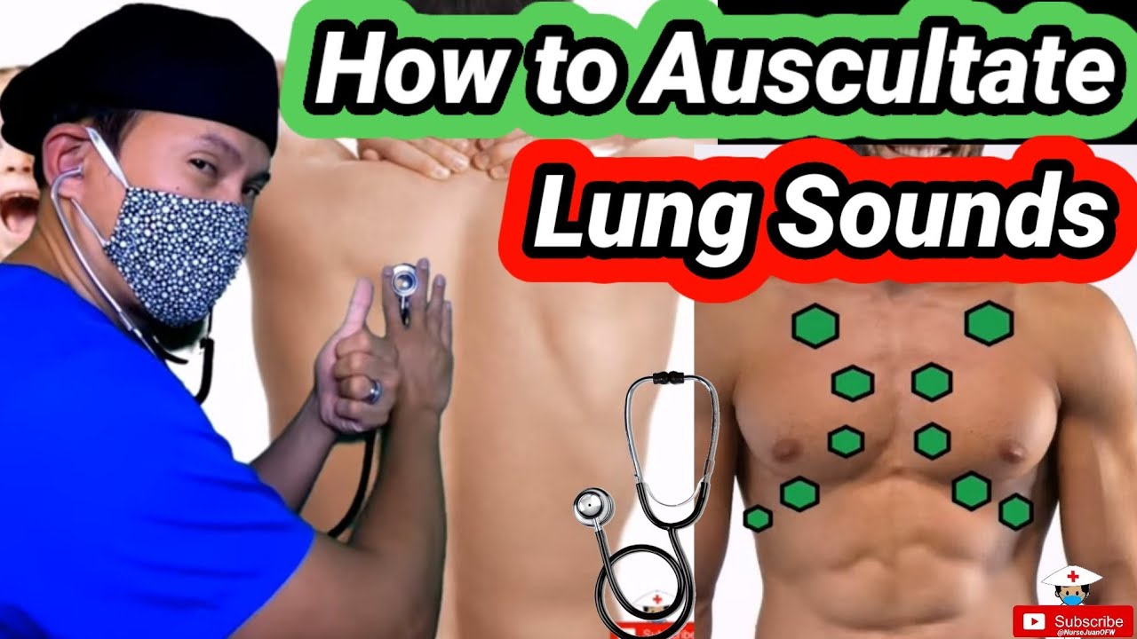 Download Lung Sounds and Lung Auscultation 101