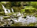 دعاء القنوت للشيخ سعد الغامدي Dua A By Shaikh Sa Ad Al Ghamdi 