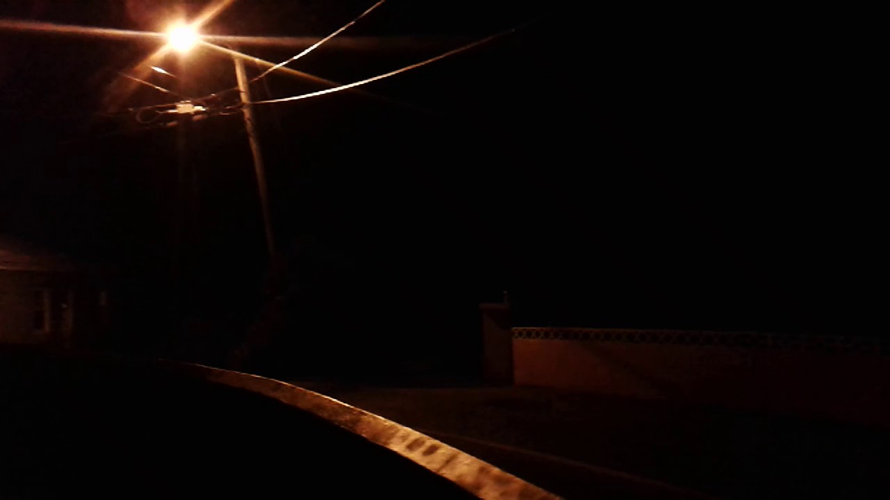 The sound of Whistling Tree Frogs on Bermuda