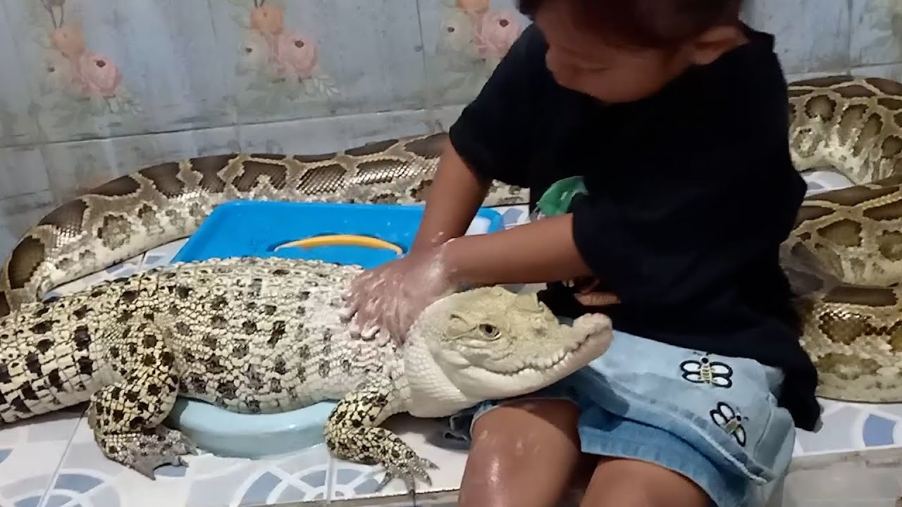 EatingBiting Krokodil-Deko Aus Keramik | Handbemalt | Für Haus & Garten | Niedliche Tierfigur Ca. 5,2 Cm | Ideal Als Geschenk