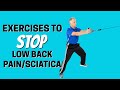 7 Absolute Best Exercises for Stopping Low Back Pain & Sciatica with Everyday Chores