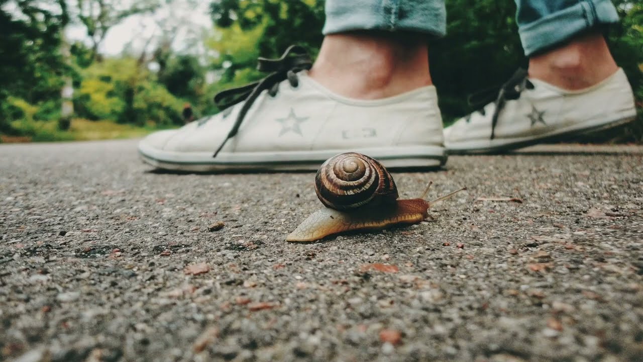 Slow life : Pourquoi ralentir son rythme de vie au quotidien ?