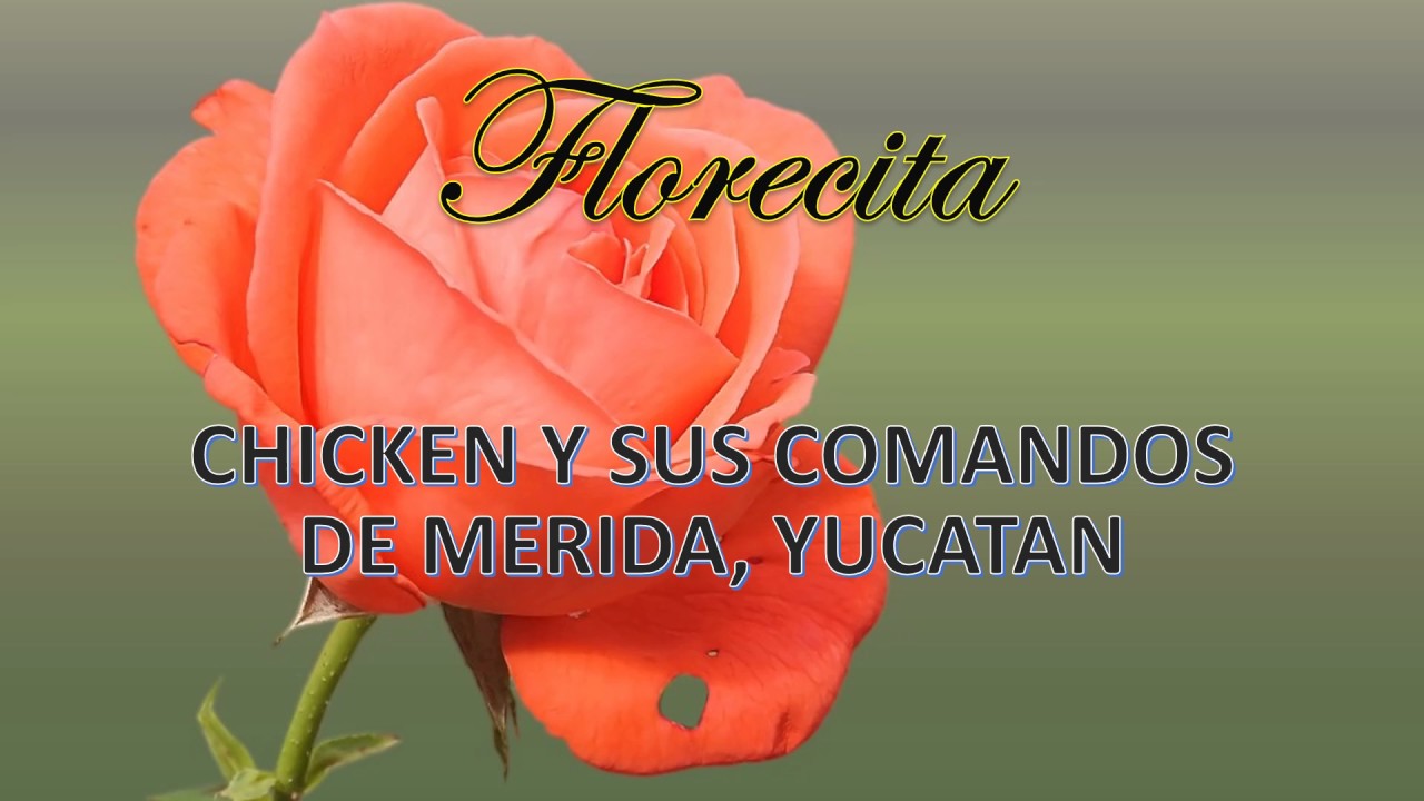 Florecita - Chicken y sus Comandos