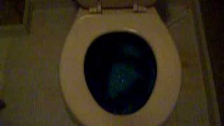 101_1082.mov