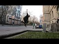 Flowy freerunning  erlangen