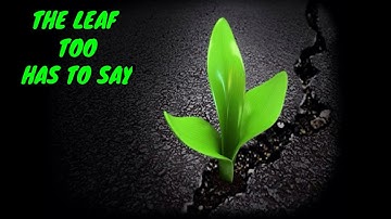 THE LEAF TOO HAS TO SAY (UNIT-2/EVS/STD-4/SCERT.