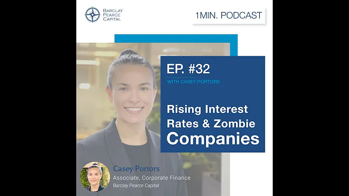 Raising Interest Rates & Zombie Companies With Cas...