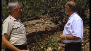 How To Create A Fire Defensible Landscape Part 2