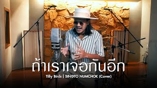 Video thumbnail of "ถ้าเราเจอกันอีก (Until Then) - Tilly Birds (COVER) สิงโต นำโชค"