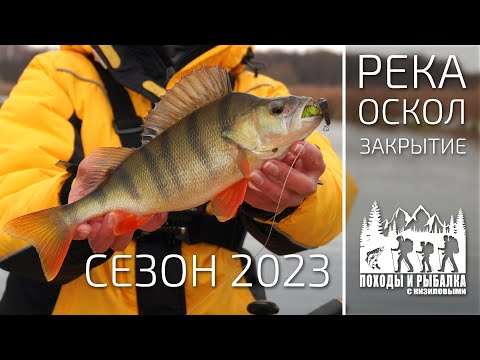 Видео: Закрытие сезона 2023. Рыбалка на реке (25.11.2023)
