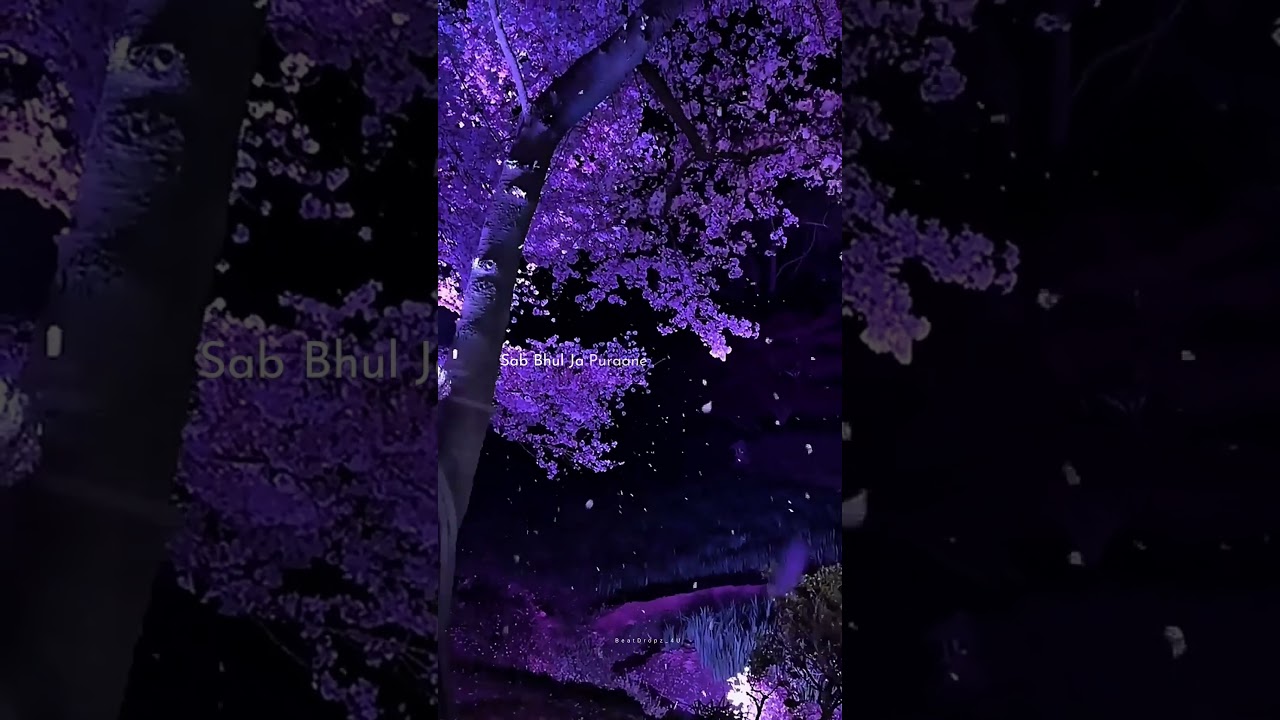 Mere Bina Tera Koi Nayak Nahi ✨🤍 | Aesthetic lyrics status | #shots #lyricssong #whatsappstatus