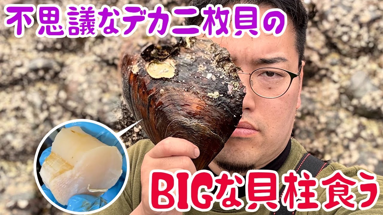 Eating the huge scallops of a mysterious bivalve - YouTube